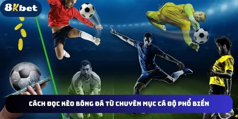 Cách đọc kèo bóng đá từ chuyên mục cá độ phổ biến